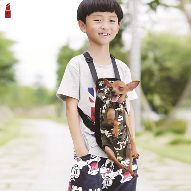 small pet front carrier