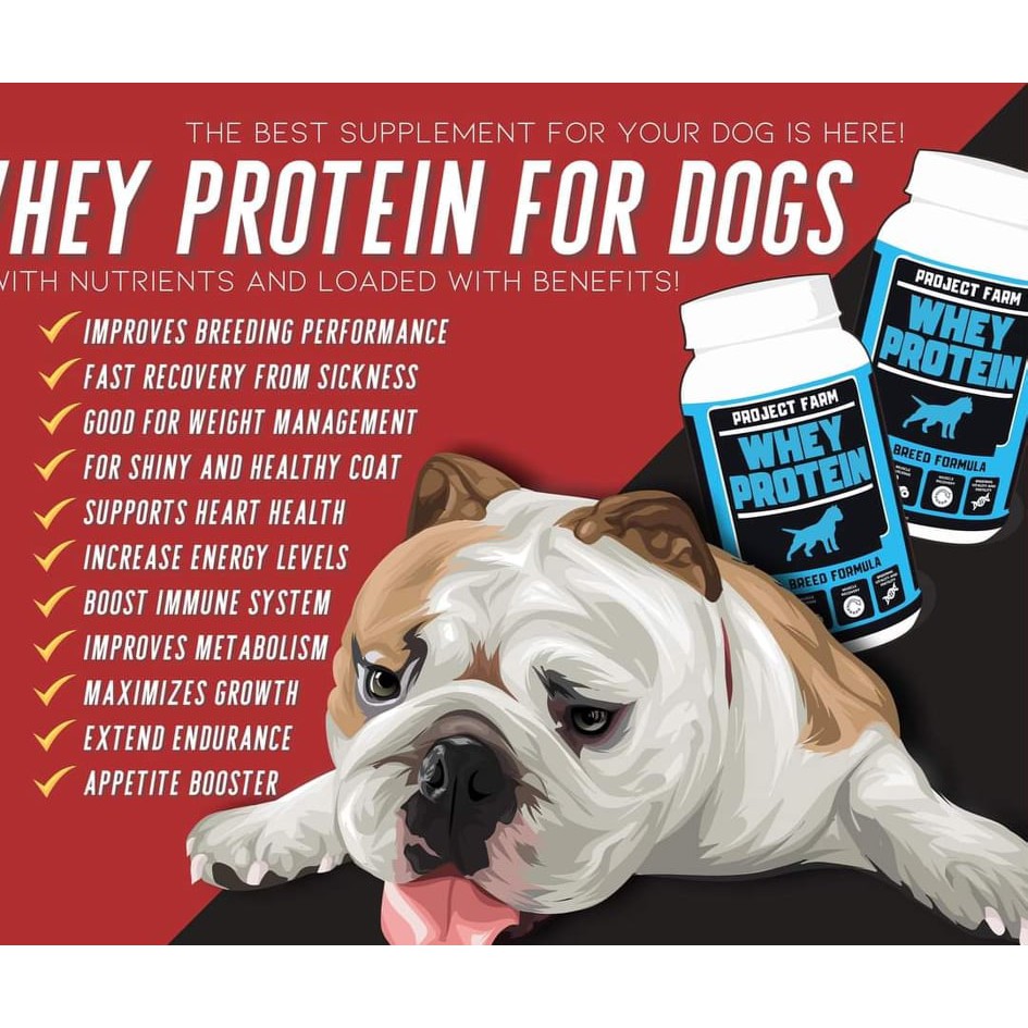 can you give your dog whey protein