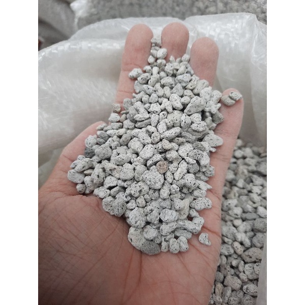 Pumice corn / monggo / matanghito (1kg / pack) Shopee Philippines