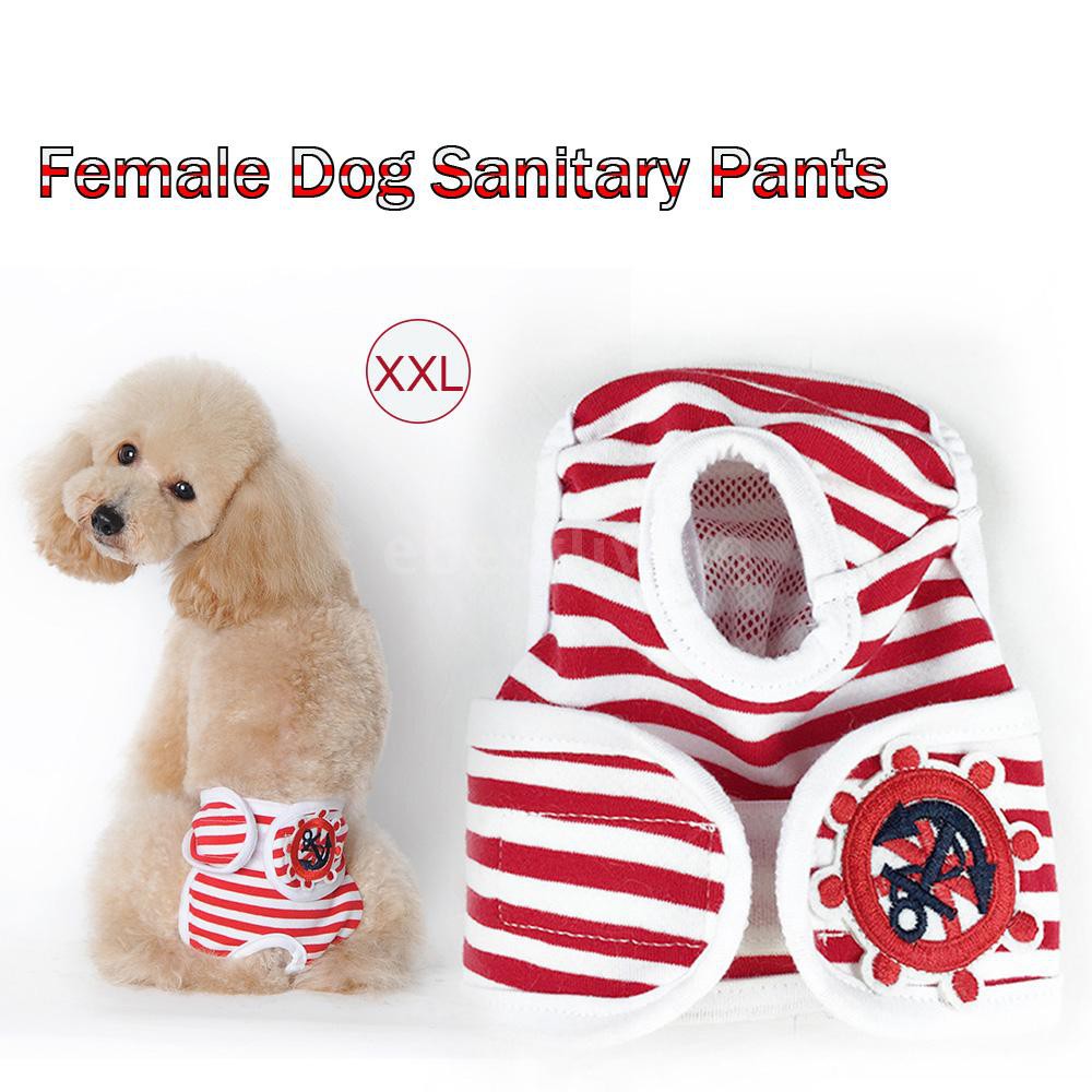 dog sanitary pants