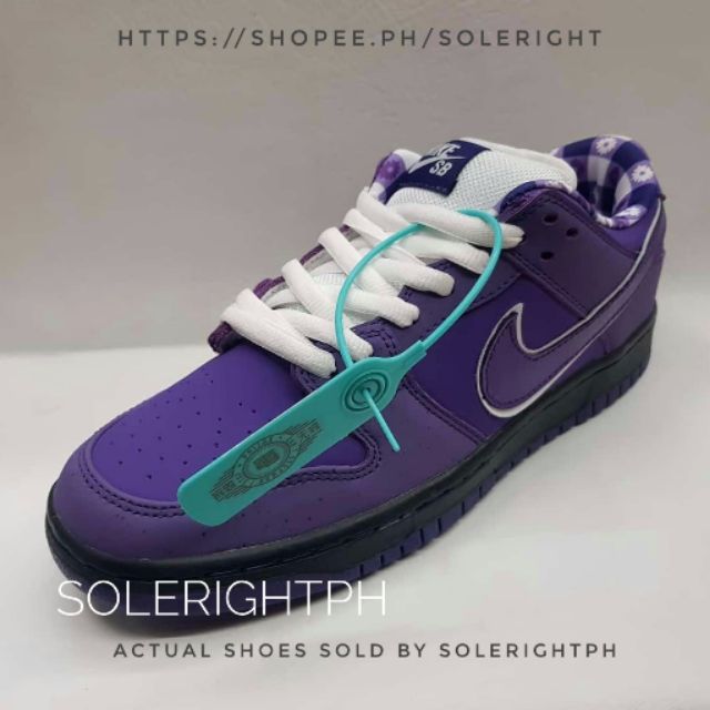 purple lobster sb