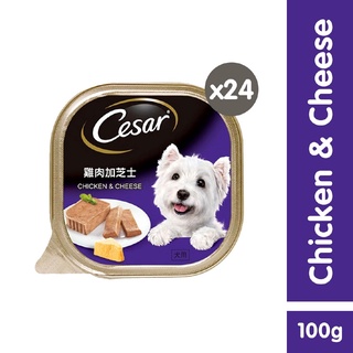 CESAR Wet Dog Food - Premium Dog Food in Chicken and Cheese Flavor (24-Pack), 100g.