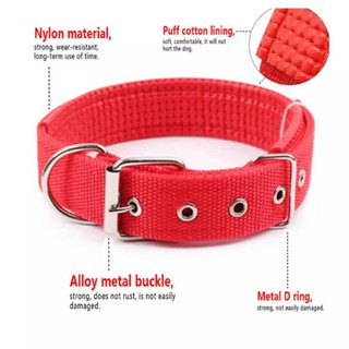 Size: XS Quality Dog Nylon Pet Collar #3