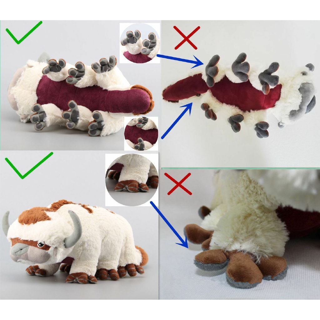 appa teddy
