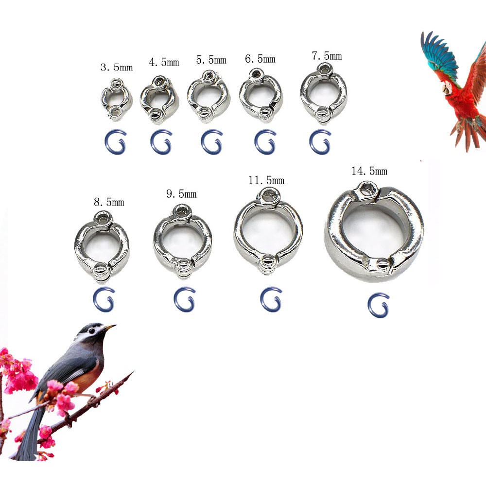 Birds Training Leash Rings Clip Parrot Flying Accessory 2 Pcs or 1 PC 3.5mm to 15 mm Birds foot