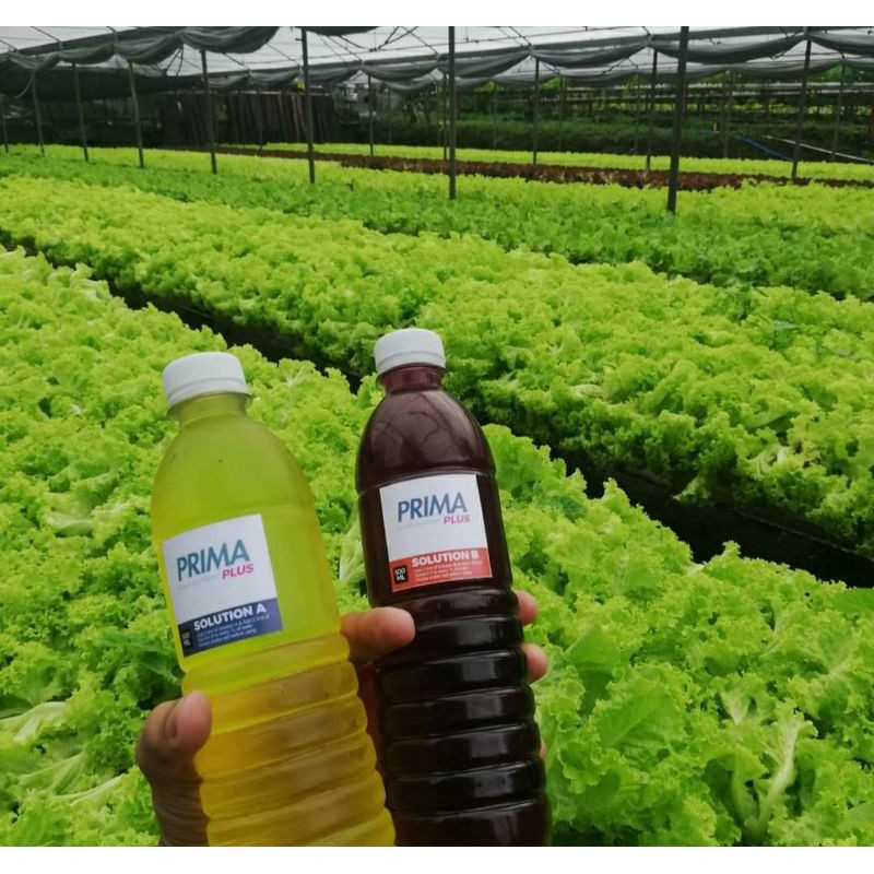 PRIMA HYDROPONIC NUTRIENT SOLUTION 1LITER | Shopee Philippines