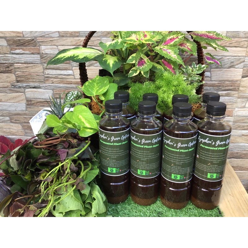 Fermented Plant JuiceNatural Liquid Fertilizers 500mL Shopee Philippines