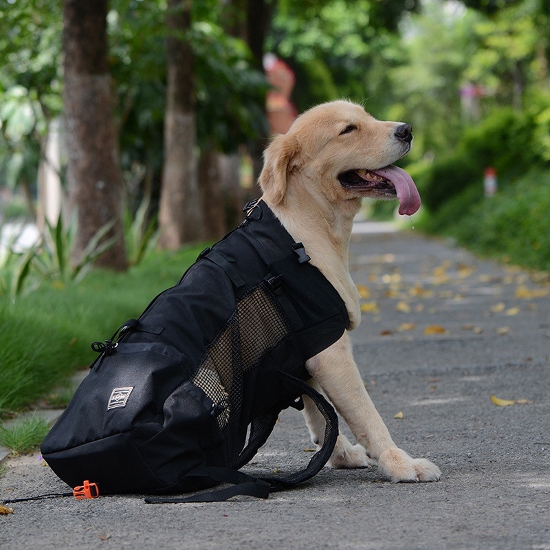 large dog carrier