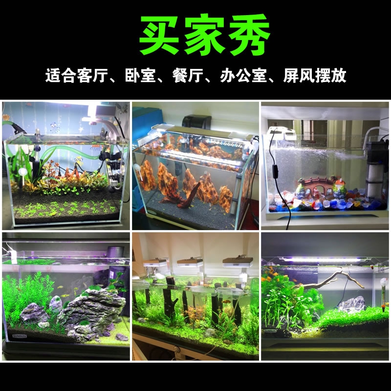 fish tank small size