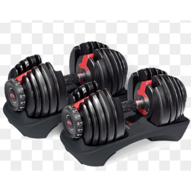 Dumbell Bowflex Selecttech Adjustable Set Of 2 Shopee Philippines
