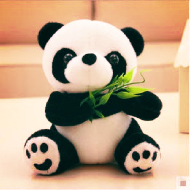 stuffed toy panda