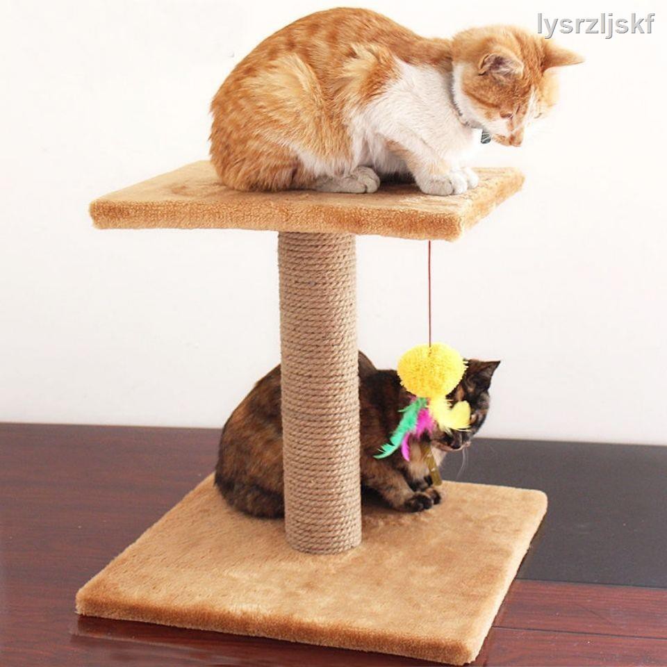 cat scratcher shopee