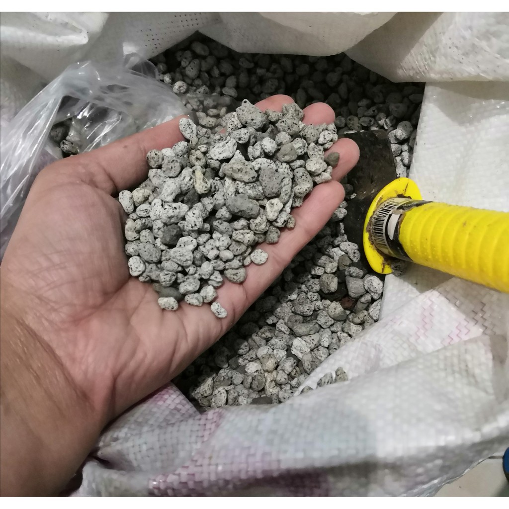 Pumice Stone (1cm) 500gramsFor cactus and succulents