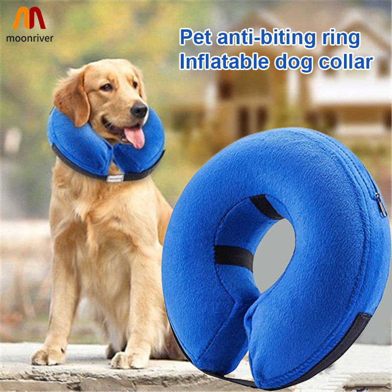 dog anti bite collar