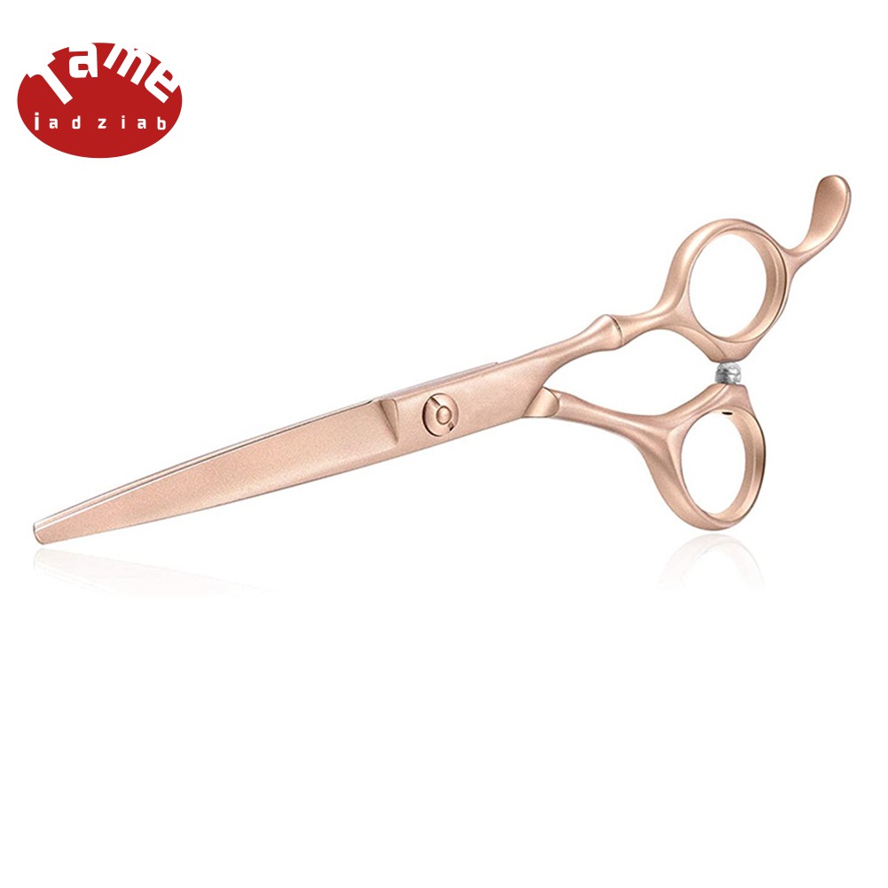 salon quality scissors