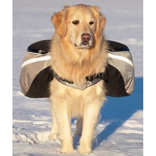golden retriever backpack