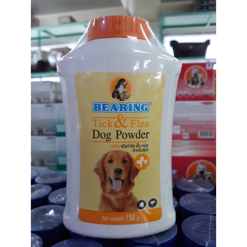 powder dog