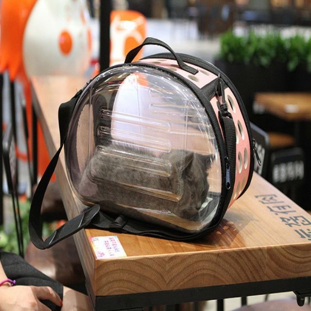 catbag - Best Prices and Online Promos - Feb 2023 | Shopee Philippines