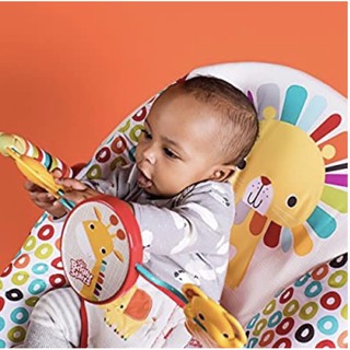 raindrop rainforest bouncer