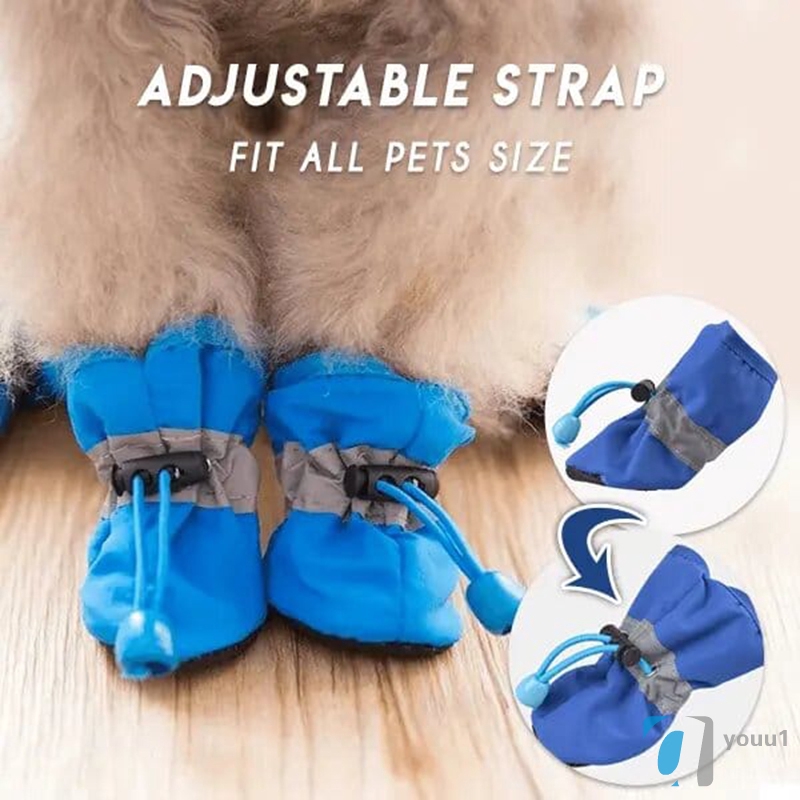 giant wolf dog for sale