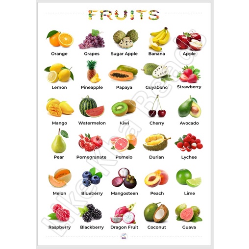 Laminated Big chart Fruits Educational Chart for kids, A3 Chart, Wall ...