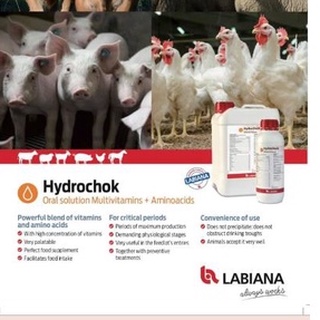 Viddavet Hydrochock  Oral solution Multivitamins + Aminoacids 1liter for animals  pets poultry Spain
