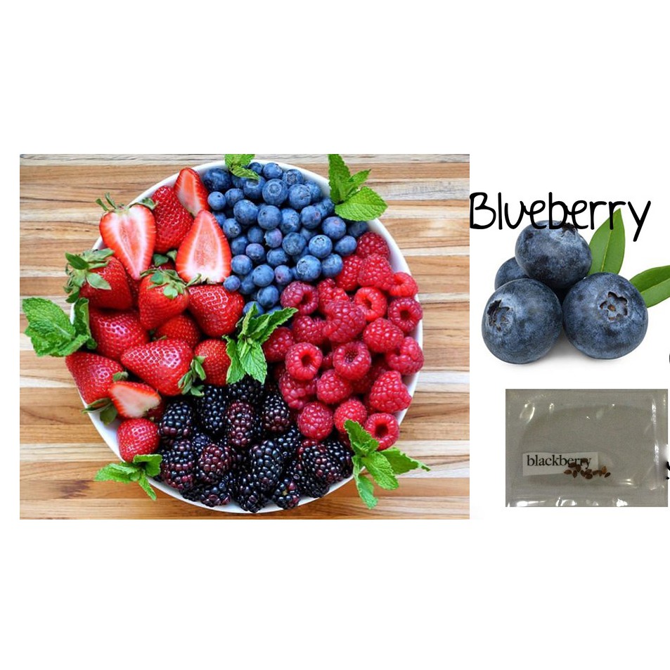 Blueberry raspberry blackberry mulberry goji berry seeds Shopee