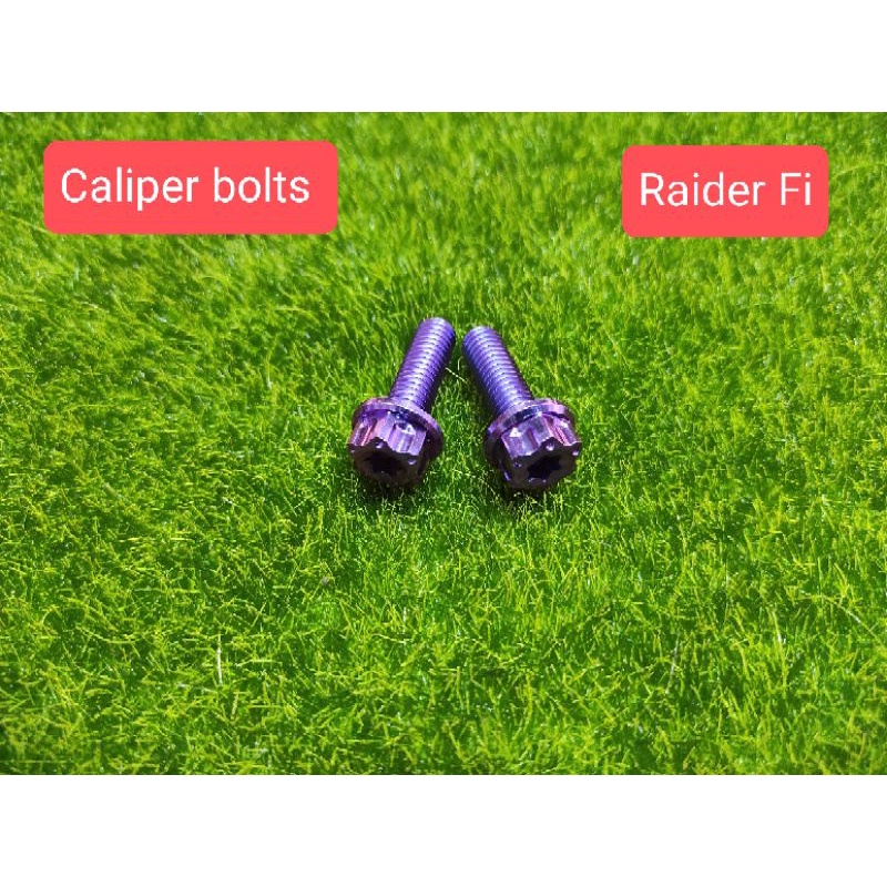 GR5 CALIPER BOLTS Raider fi (2pcs) 8x25 Shopee Philippines