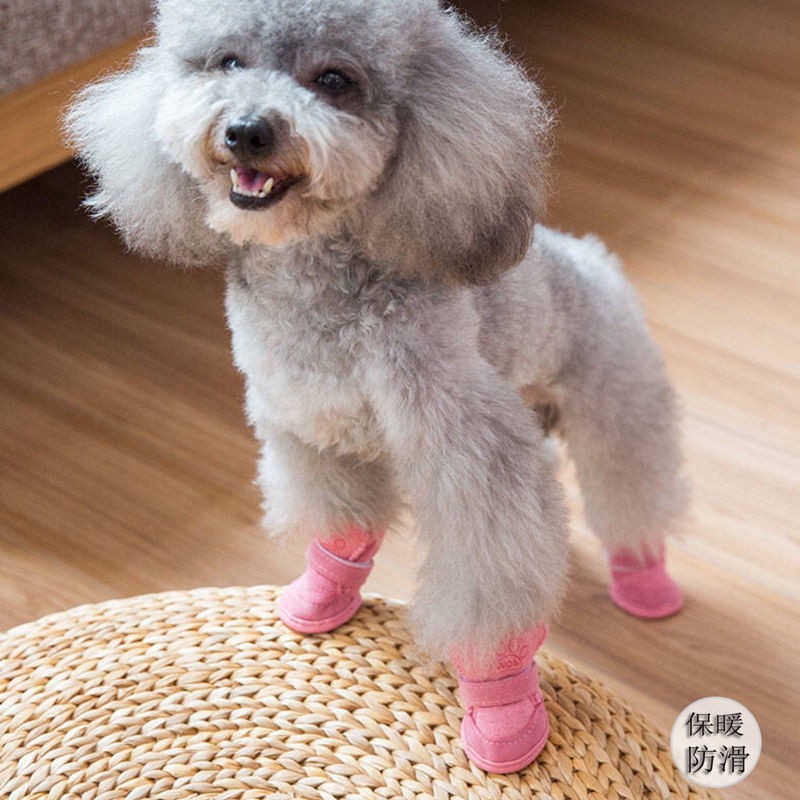 dog shoes shopee