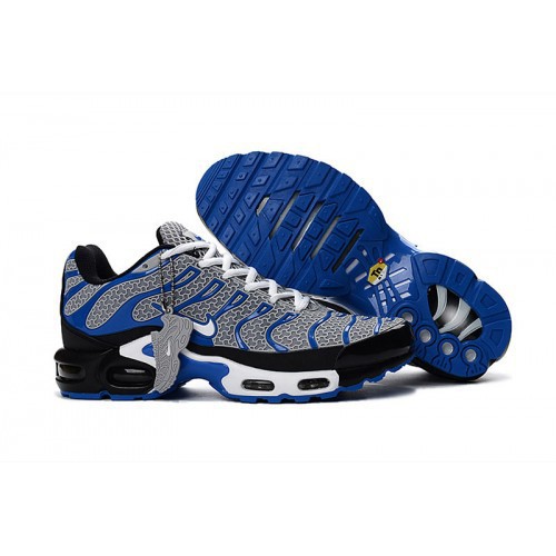 nike air max tn for sale