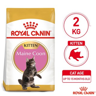 Royal Canin Kitten Maine Coon 2kg - Feline Breed Nutrition
