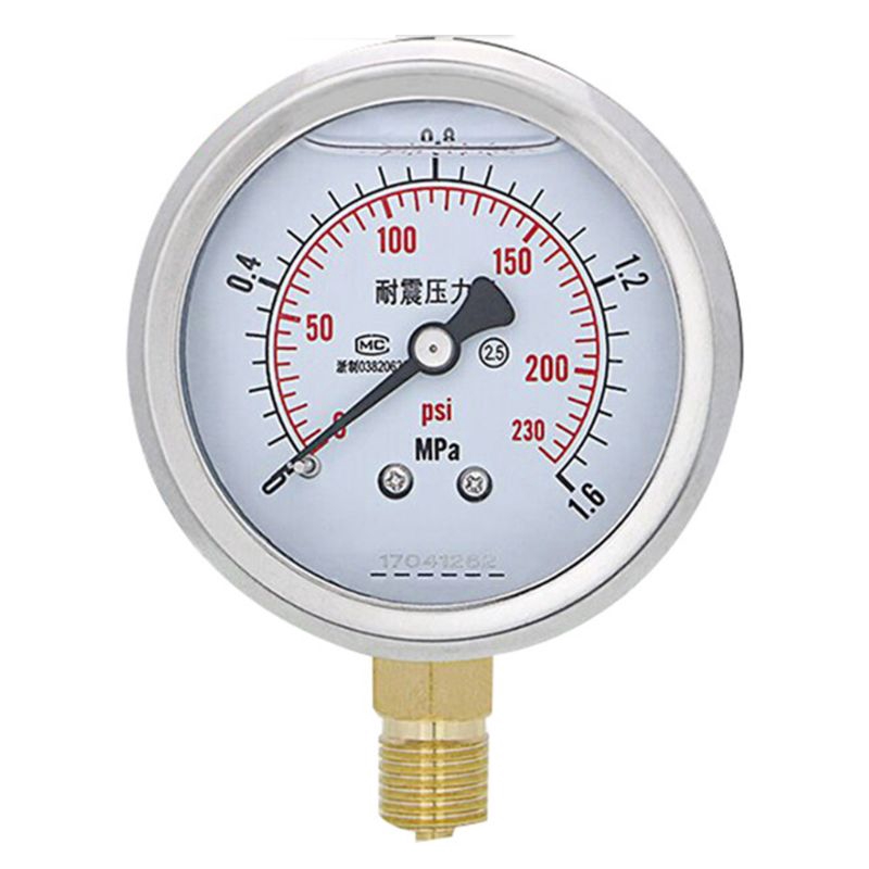 pressure gauge description