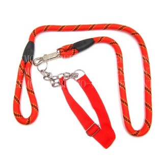 Dog chain Prong Collar  Choke Chain Dog Training