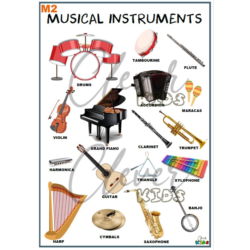Musical Instruments Educational Chart for Toddler A4 Laminated by