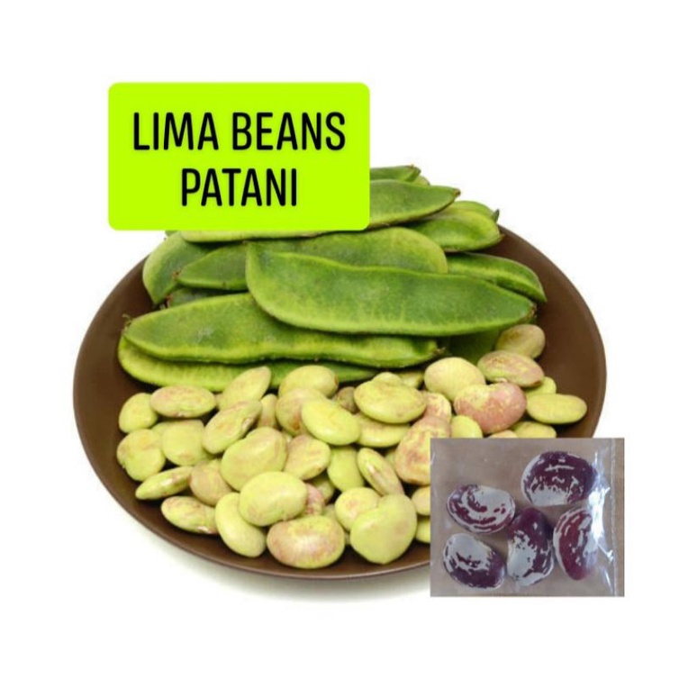 Lima Beans Seeds Patani Seeds Vegetables Seeds Shopee Philippines