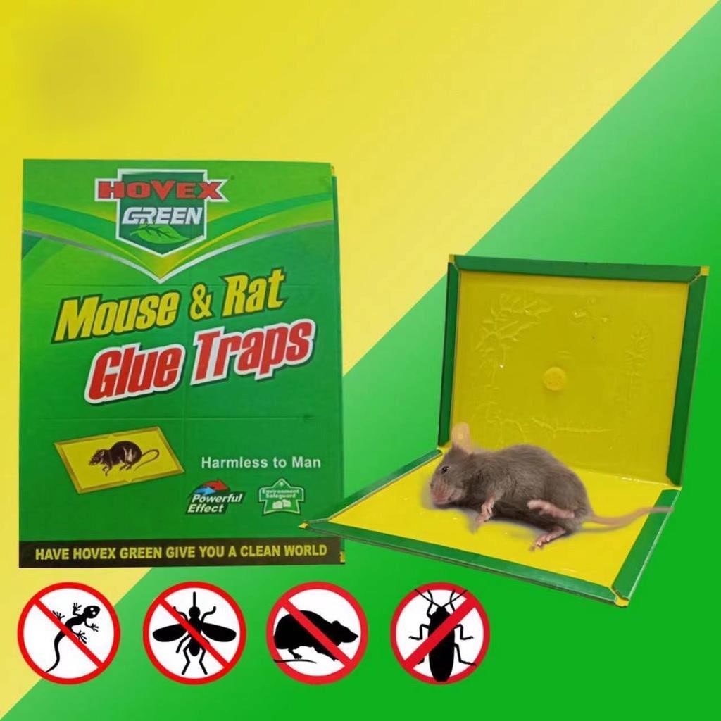 Original Mouse and Rat Catcher Glue Trap Rodent Expert Sticky Bond Mice