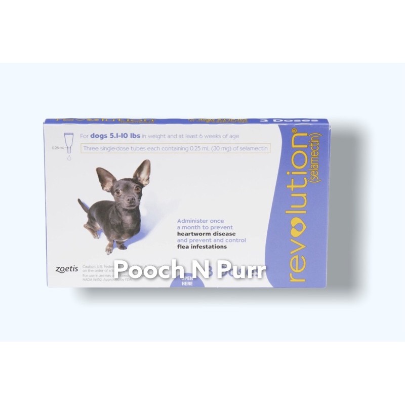 mini schnauzer husky mix