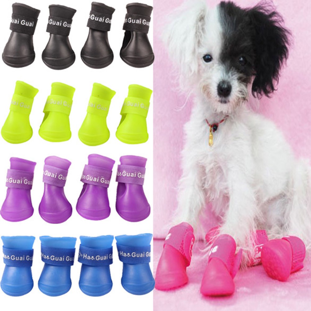 large dog rain boots