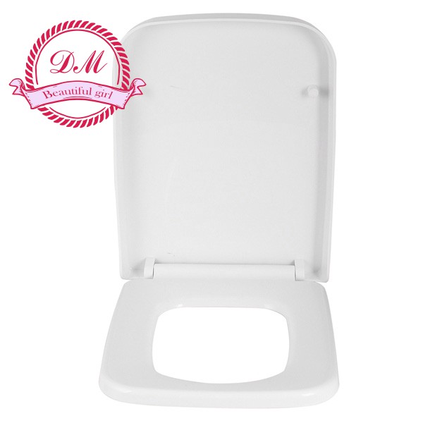 square toilet seat fittings