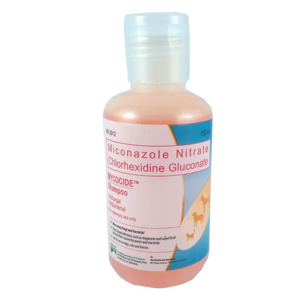 ringworm shampoo for dogs