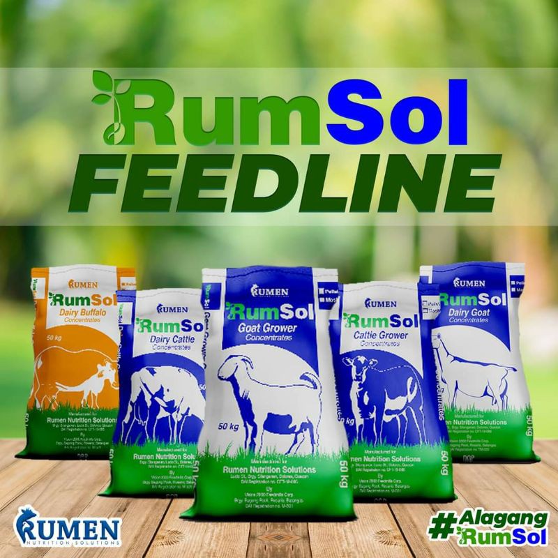 Rumsol Feeds Dairy for Sheep, Goat & Cattle Repacked per kg Shopee