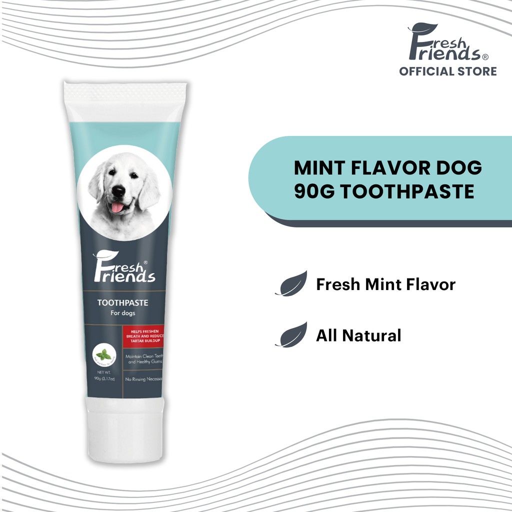 what is a safe toothpaste for dogs