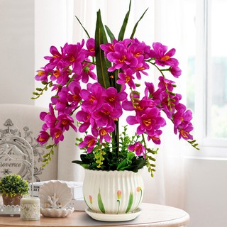 Phalaenopsis bunga  buatan sut hiasan  bunga  palsu bunga  