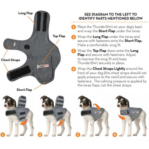 storm vest for dogs