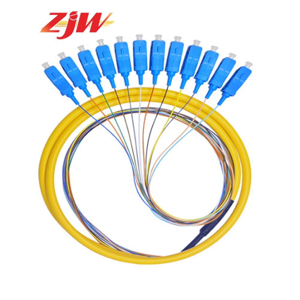 12 Strand 9/125 Fiber Optic Pigtail 1.2m SC/UPC Single Mode,12 fiber