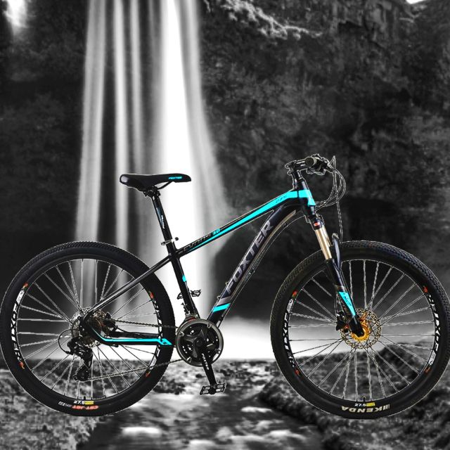 foxter evans 29er