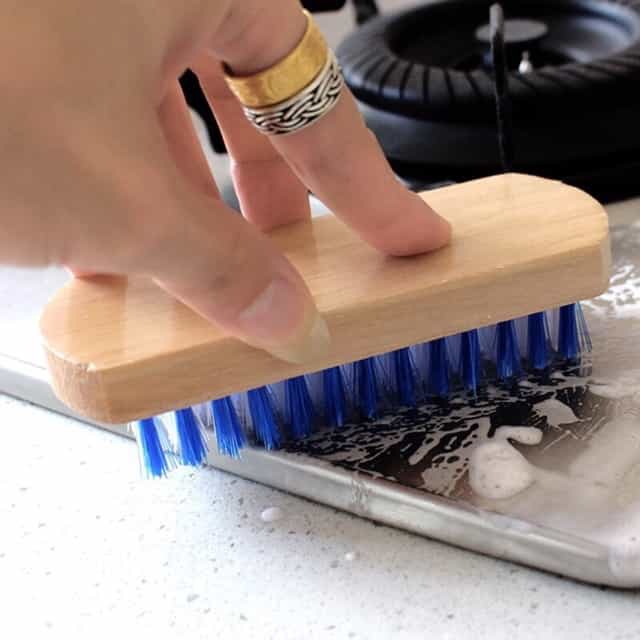 house scrubbing brush