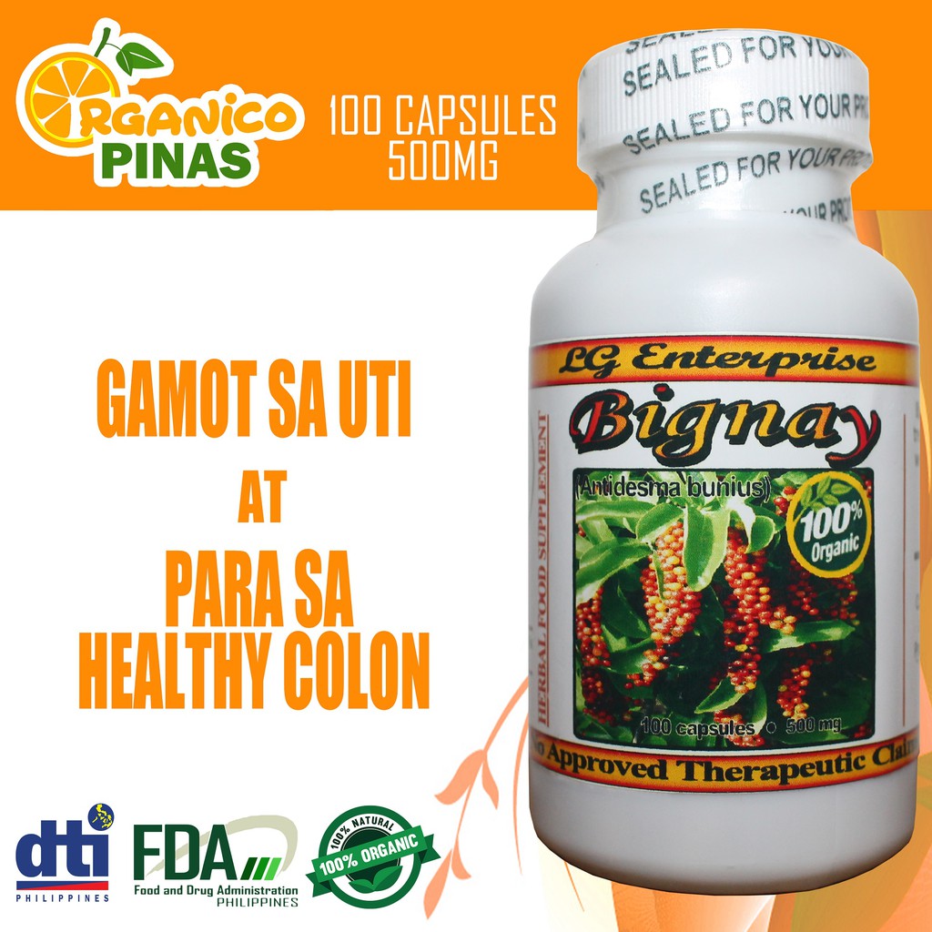 Bignay Gamot sa UTI at para sa Healthy Colon Capsules 100s x 500mg ...