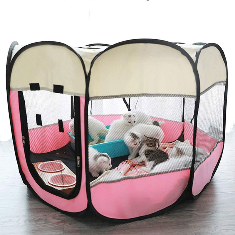 indoor dog kennels