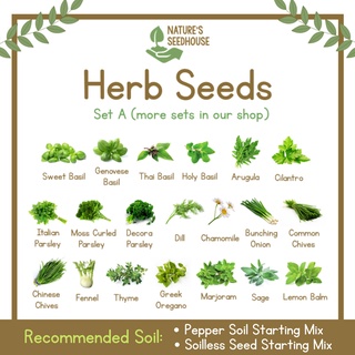 Herb Seeds Collection Set A Top-Quality Seeds